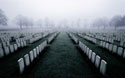 Delville Wood, Somme