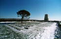 Lone Pine, Gallipoli